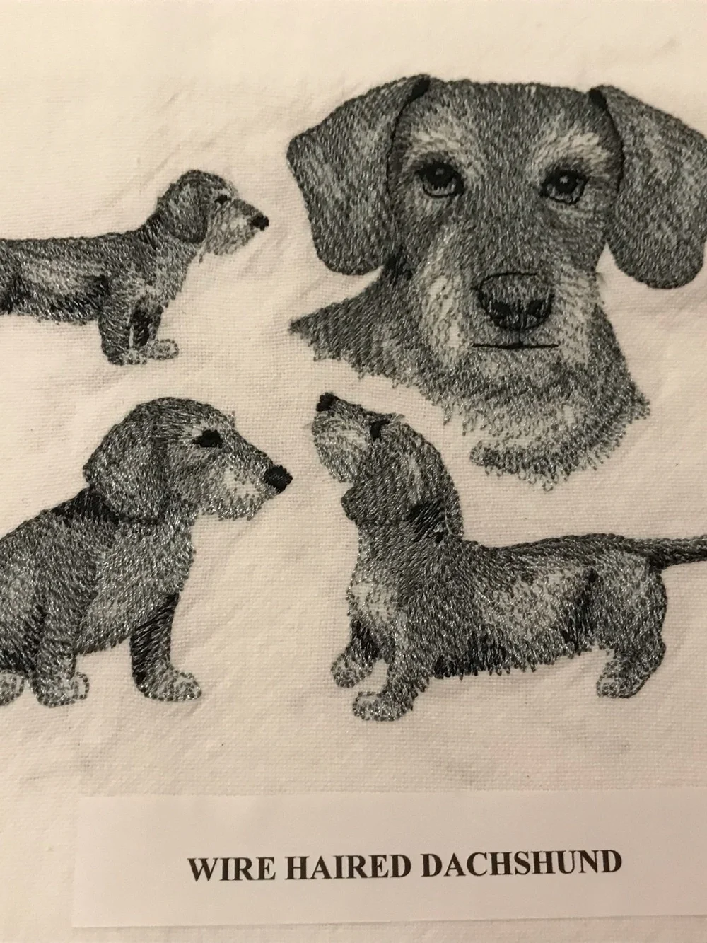 Wire Haired Dachshund Machine Embroidered Dish Towel